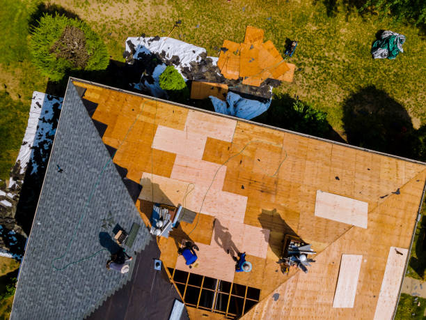 Best Flat Roof Repair Services  in Lonsdale, MN