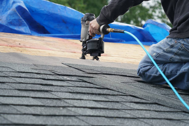 Best Roof Gutter Cleaning  in Lonsdale, MN